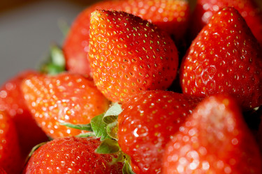 Similar image 6696651