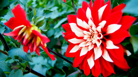 Similar image 6696656