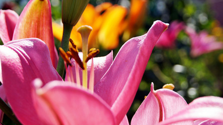 Similar image 6696657