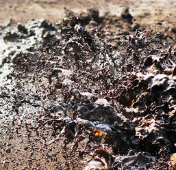 Similar image 6696662