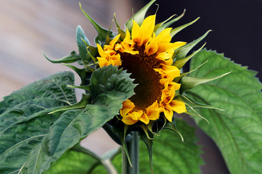 Similar image 6696680