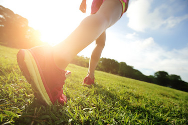 Similar image 6696848