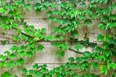 Similar image 6697130