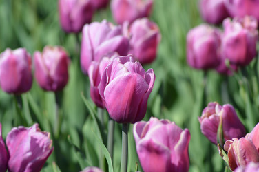 Similar image 6697145