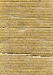 Similar image 6697146