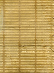 Similar image 6697147