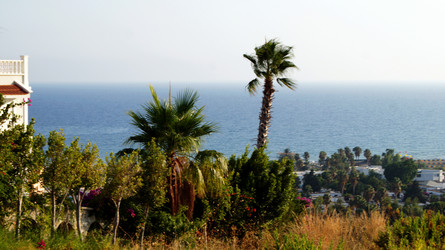 Similar image 6697154