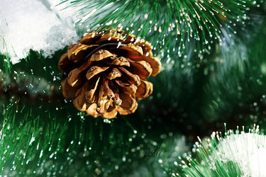 Similar image 6697156