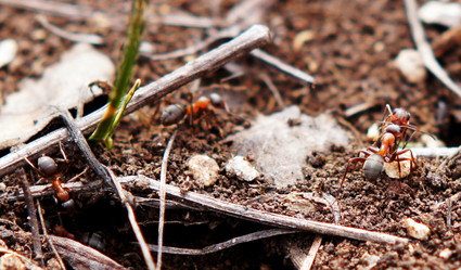 Similar image 6697157