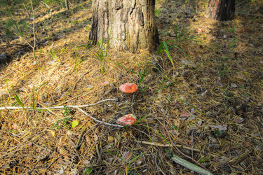 Similar image 6697162