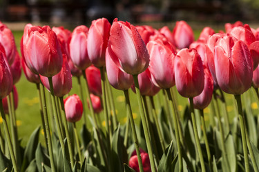 Similar image 6712597