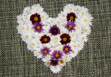 Similar image 6712598