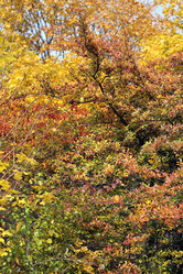 Similar image 6712617