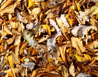 Similar image 6712618