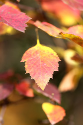 Similar image 6712619