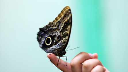 Similar image 6712628