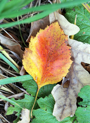 Similar image 6712633