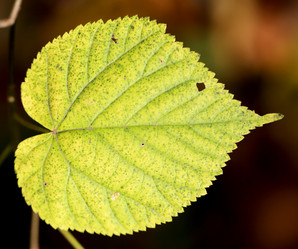 Similar image 6712634