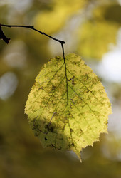 Similar image 6712635