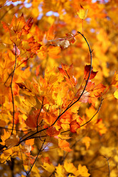 Similar image 6712637