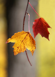 Similar image 6712639