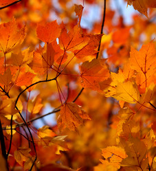 Similar image 6712640