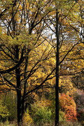 Similar image 6712643