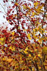 Similar image 6712644