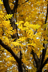 Similar image 6712646