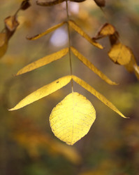 Similar image 6712647