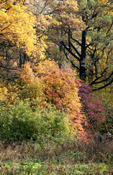 Similar image 6712650