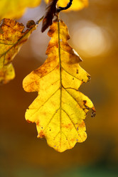 Similar image 6712672