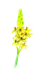 Similar image 6712692