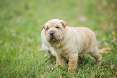 Similar image 6712763