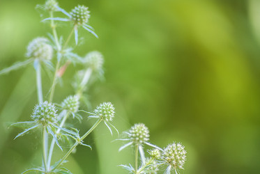 Similar image 6712789