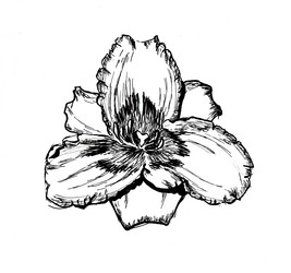 Similar image 6712842