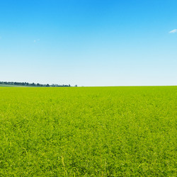 Similar image 6713146