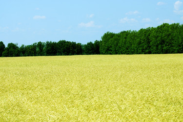 Similar image 6713244