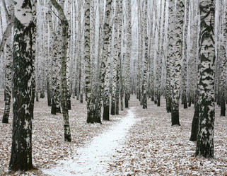 Similar image 6713245