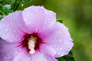 Similar image 6713249