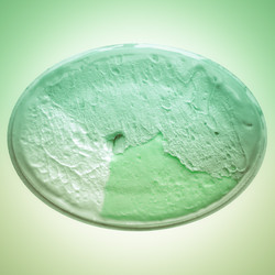 Similar image 6713356