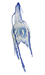 Similar image 6713475