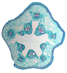 Similar image 6713483