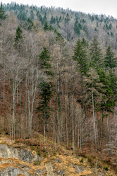 Similar image 6713537