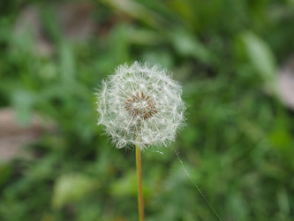 Similar image 6713595