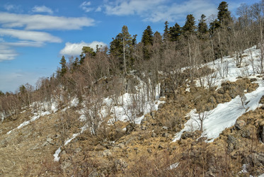 Similar image 6713656