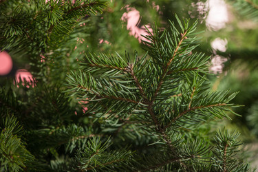 Similar image 6713796