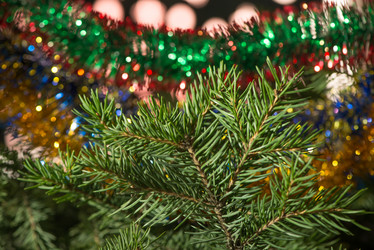 Similar image 6713797