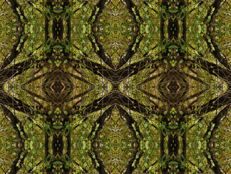 Similar image 6713999