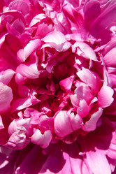 Similar image 6714905